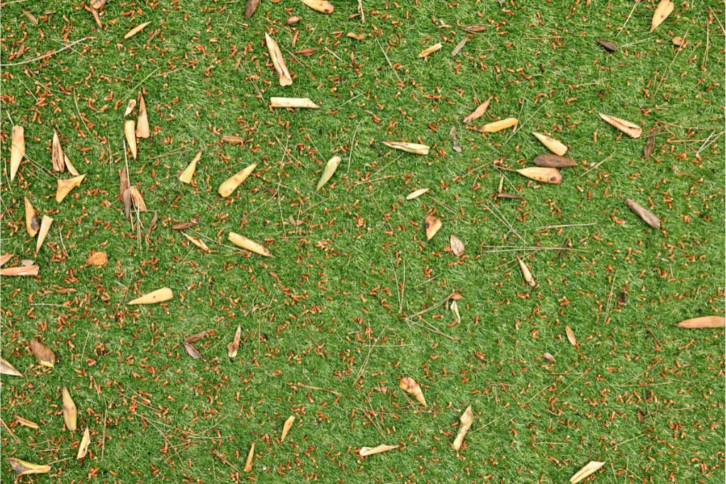 How To Remove Leaves From Artificial Grass
