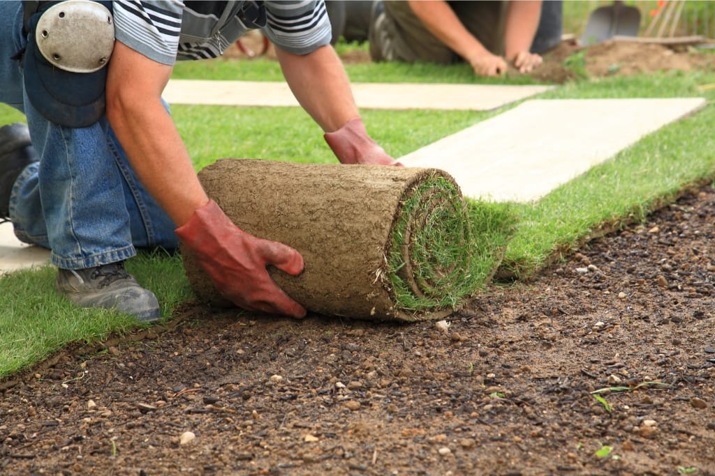 10 Tips To Help You Determine Whether To Fire And Replace A Landscaper