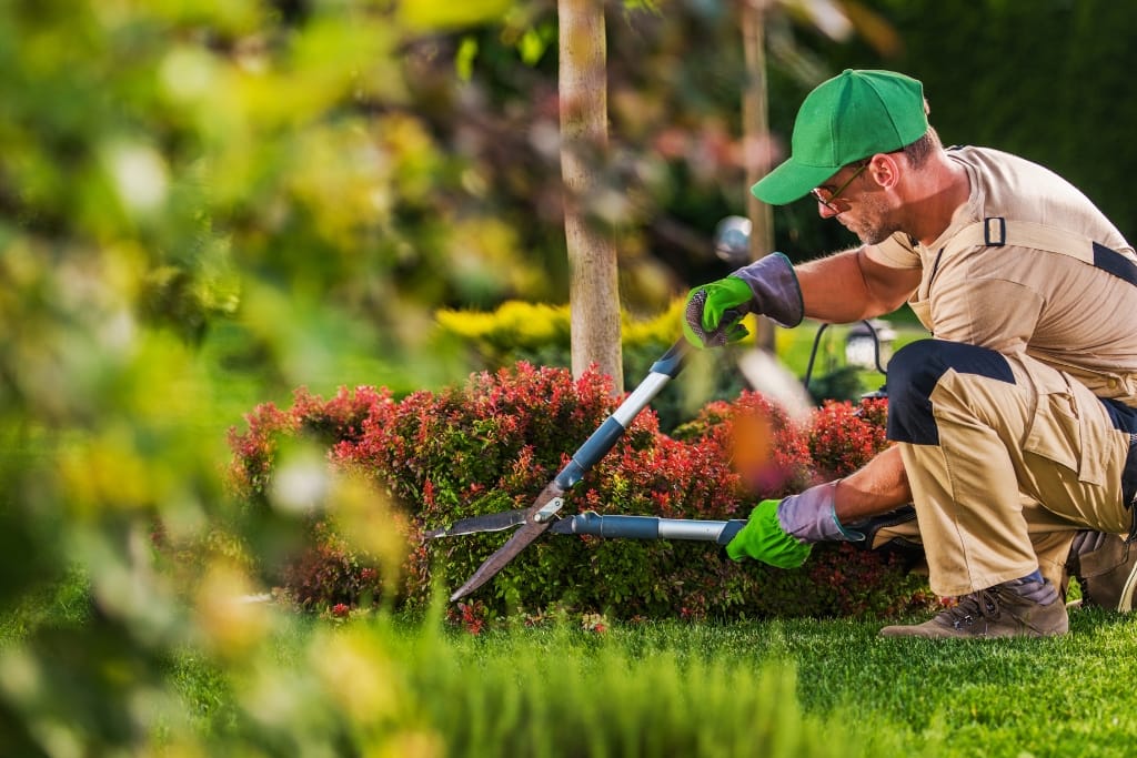 10 Tips For Finding The Best Landscapers