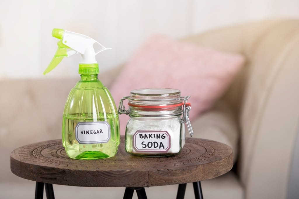 10 Eco-Friendly Ways To Clean Your Home With Everyday Items