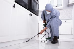10 Tips For Finding The Best Pest Control Companies