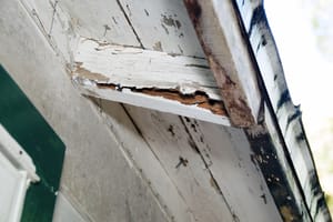 10 Tips For Finding The Best Dry Rot Repair Companies