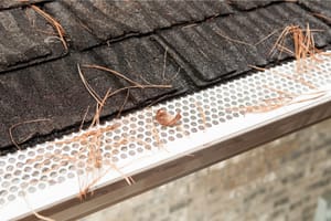 How To Negotiate The Best Price For Gutter Guards Installation