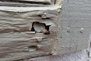 10 Ways To Prevent Dry Rot In Your Home