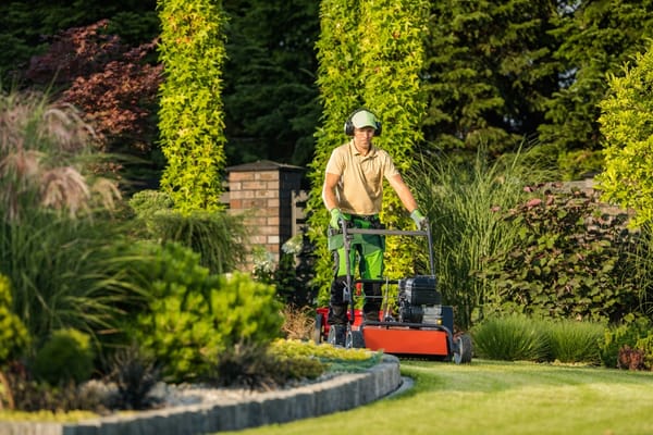 How To Pick The Best Landscape Contractor